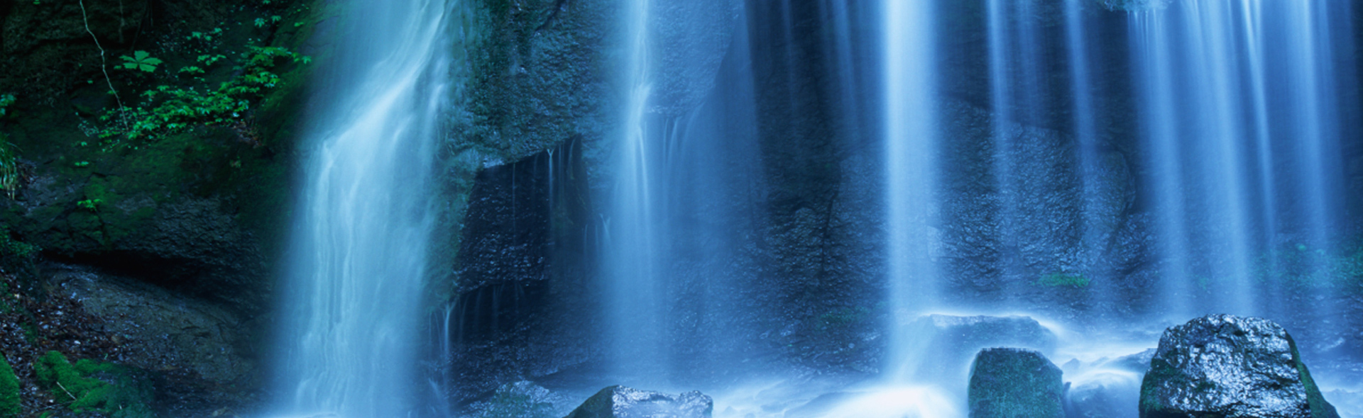 有限会社五明興業